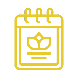 outcall massage Suvarnabhumi